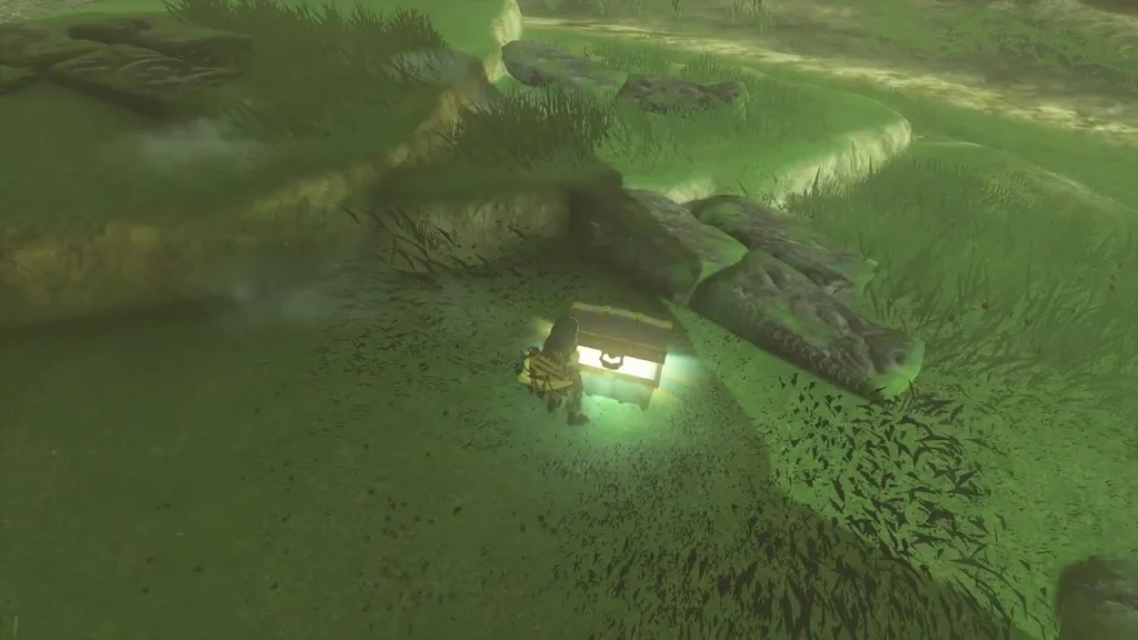 Chest in the hollow beside toppled mossy logs