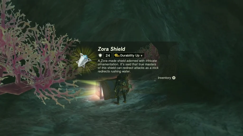 Zora Shield item box beside pink coral Zora Shield item box beside pink coral