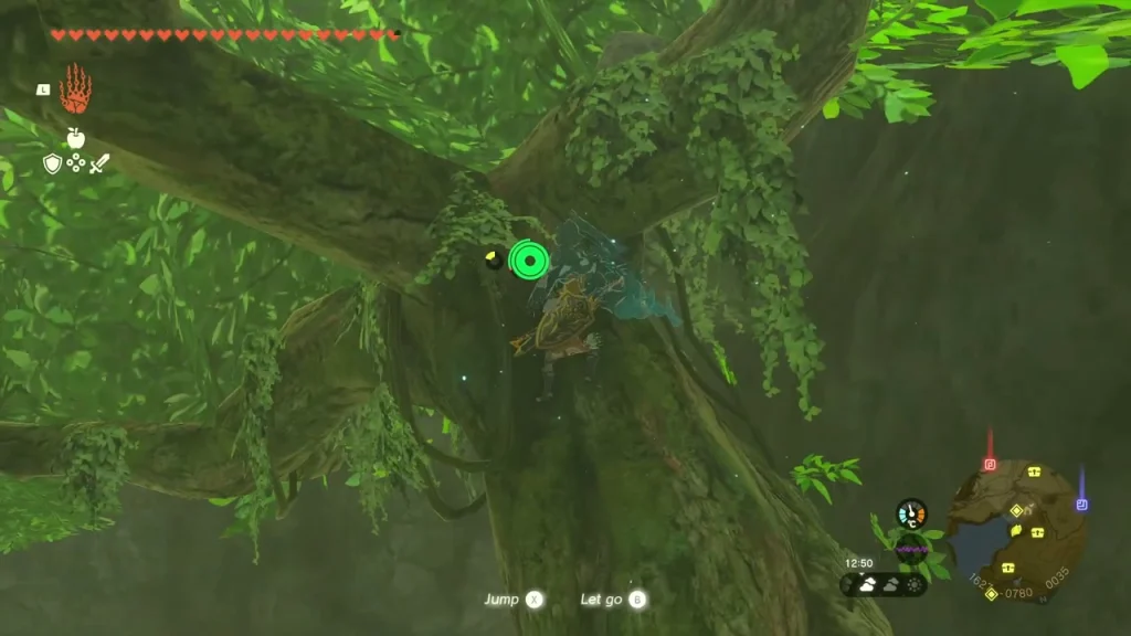 Vine-covered tree trunk above the grass where the boulder Korok hides Vine-covered tree trunk above the grass where the boulder Korok hides