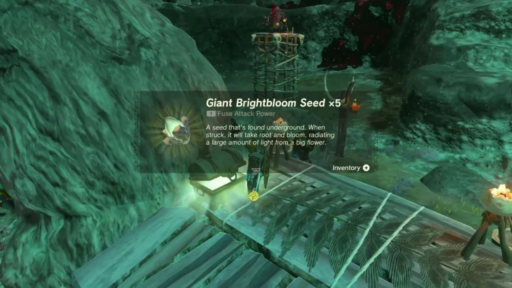 Giant Brightbloom Seed x5 item box on a plank platform Giant Brightbloom Seed x5 item box on a plank platform