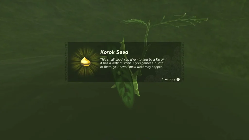 Korok Seed item box over the leaf of a Korok in the grass Korok Seed item box over the leaf of a Korok in the grass
