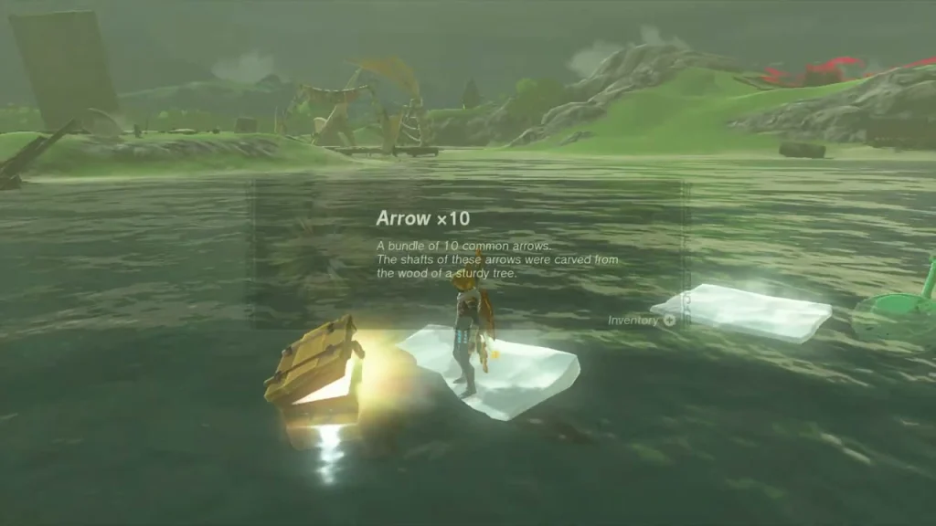 Arrow x10 item box over a chest on a floating slab of ice in the wetlands Arrow x10 item box over a chest on a floating slab of ice in the wetlands