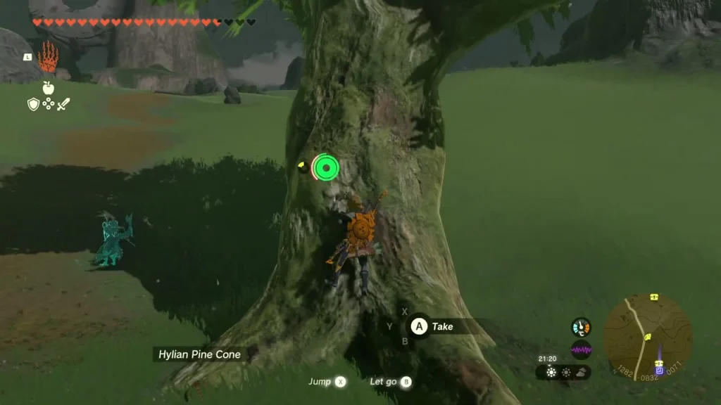 Tree trunk climb with a Hylian Pine Cone beside the boulder Korok Tree trunk climb with a Hylian Pine Cone beside the boulder Korok