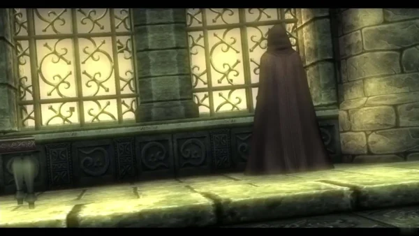 Zelda in a dark hooded cloak standing by the castle tower window Zelda in a dark hooded cloak standing by the castle tower window