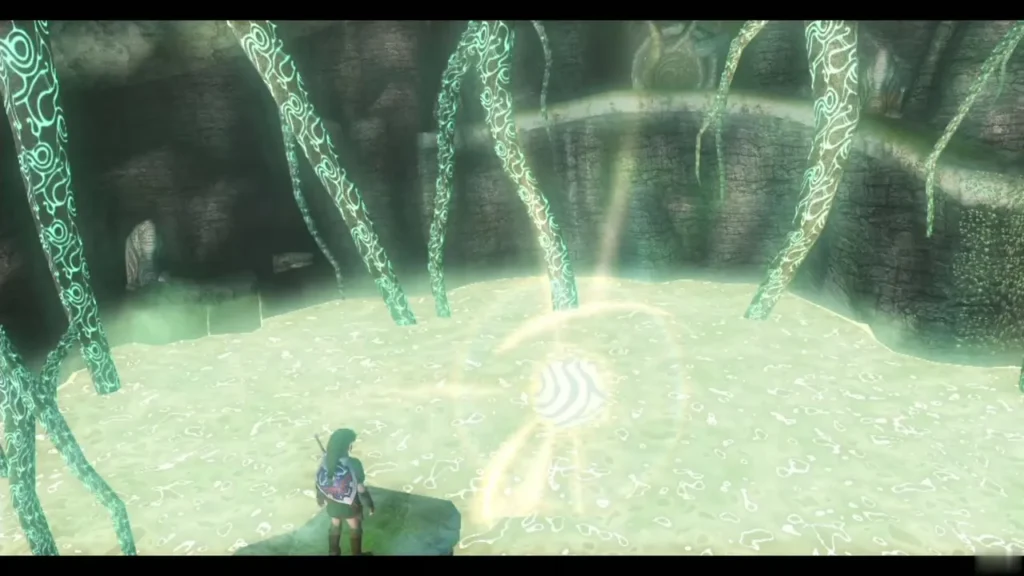 Link beside the glowing final tear in the light spirit shrine