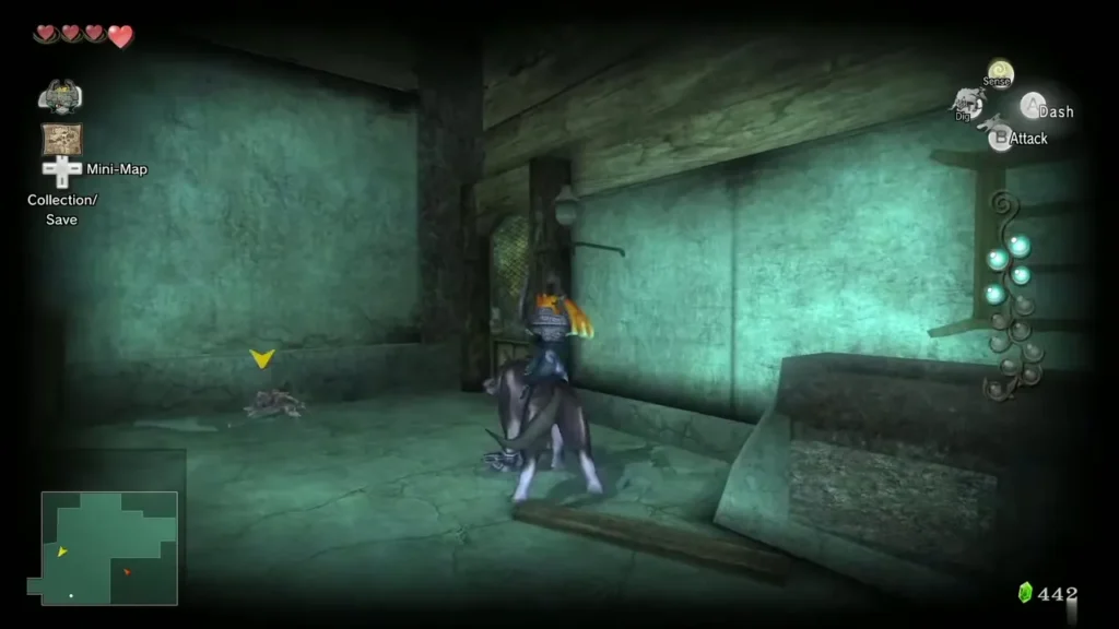 Wolf Link in the storeroom beside a Shadow Insect on the floor